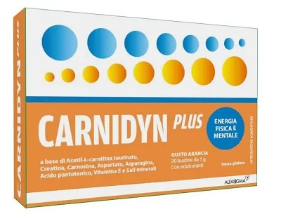 CARNIDYN PLUS 20BUST