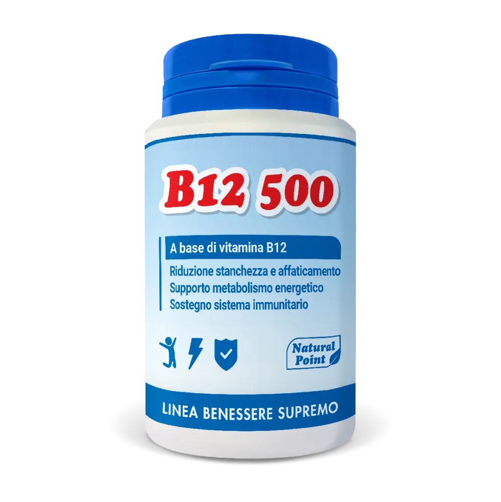 B12 500