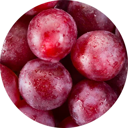 SunISDIN Capsule - immagine 4