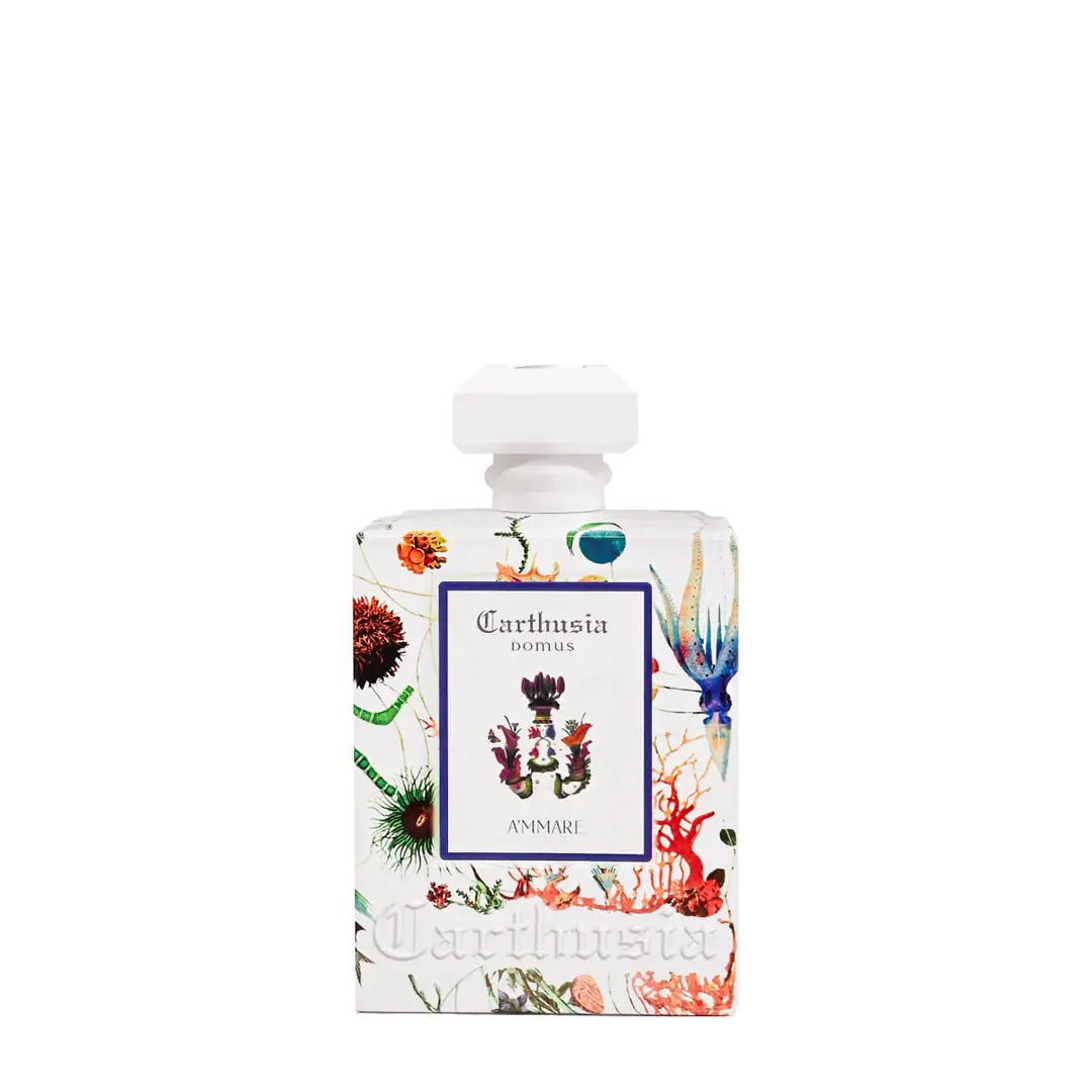 A’mmare Diffusore Ambiente 250 ml