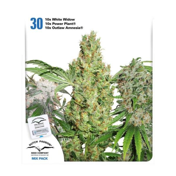 30th Anniversary Mix – Semi Stagionali