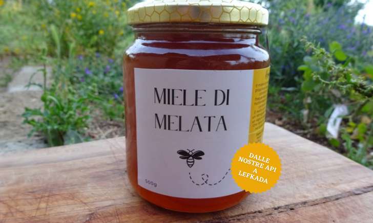 Miele di melata di pino