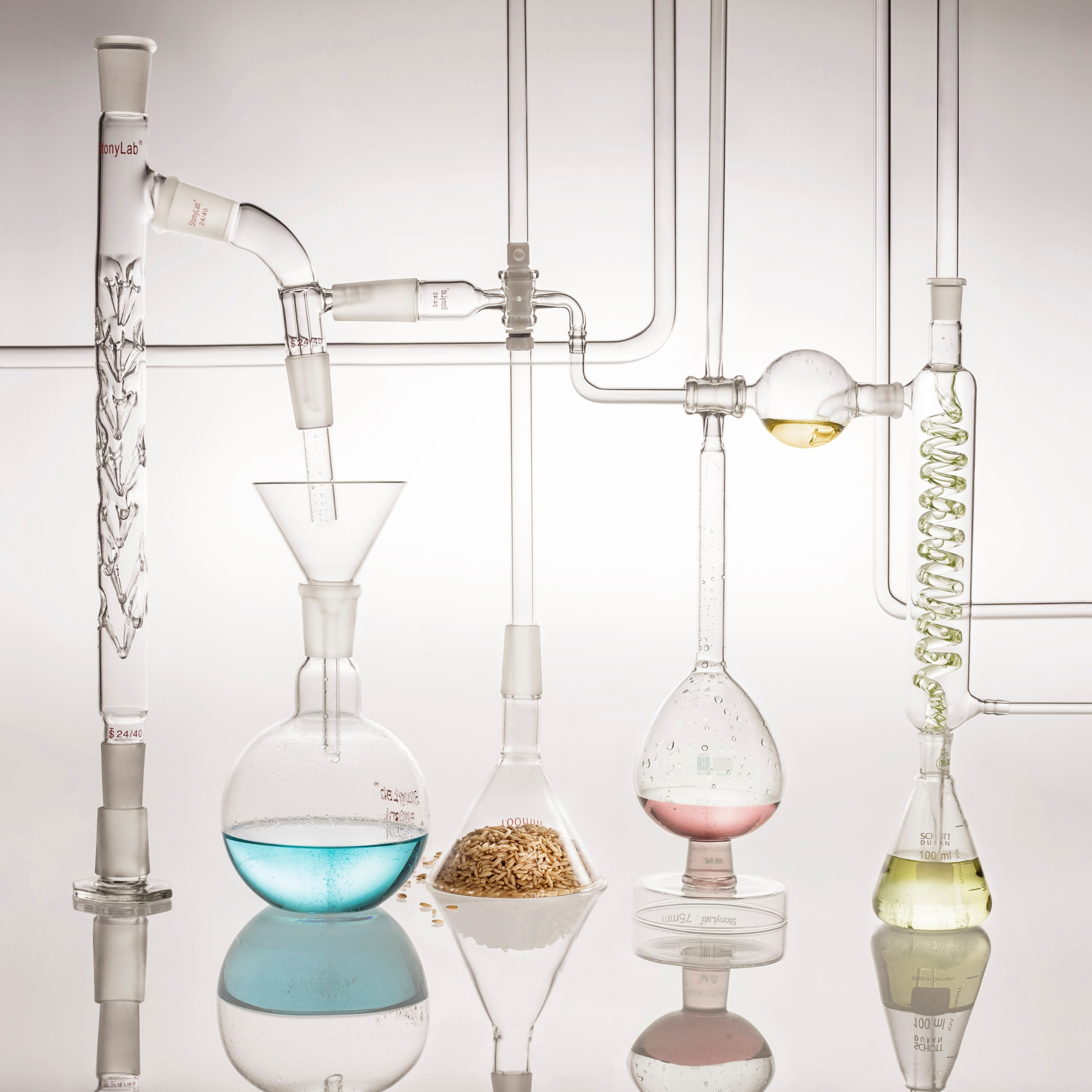 ScalpEgo Balancing Shampoo 300 ml – Alterego - immagine 3