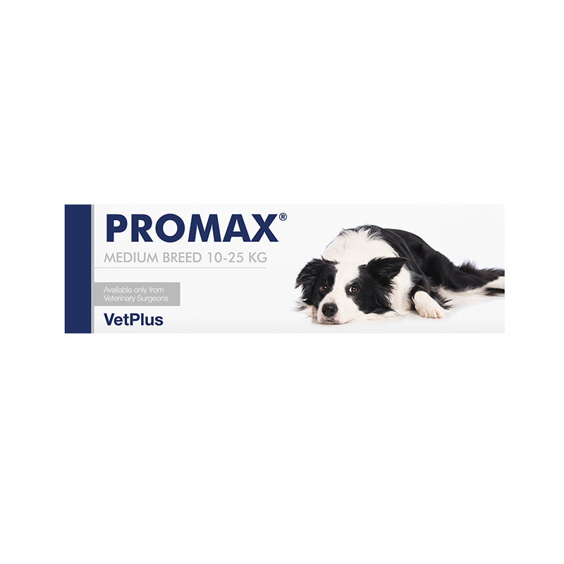 PROMAX MEDIUM BREED (18 ml) – Integratore alimentare per la funzione digestiva dei cani medi