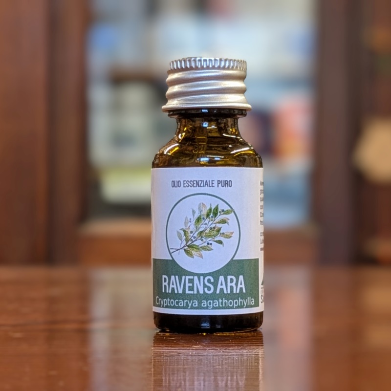 Ravensara (Ravensara anisata) Olio Essenziale